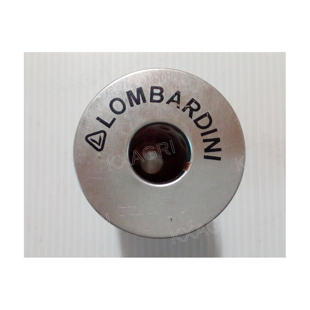 FILTRE A CARBURANT LOMBARDINI