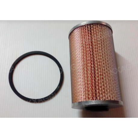 FILTRE À CARBURANT POUR MOTEURS SLANZI DVA 2200 - DVA 2900
