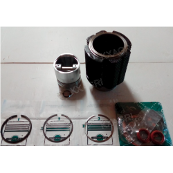 KIT CYLINDRE PISTON POCHETTE DE JOINTS HAUT MOTEUR POUR MOTEUR SLANZI DVA 515-1030-1550