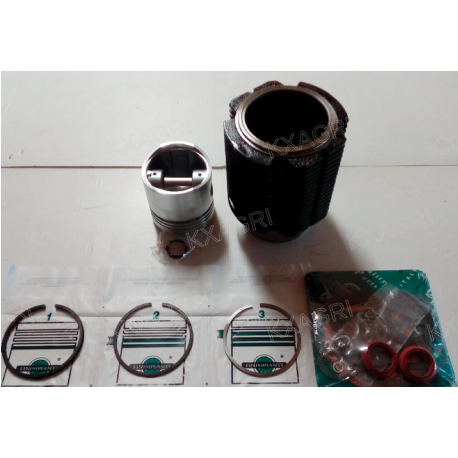 KIT CYLINDRE PISTON POCHETTE DE JOINTS HAUT MOTEUR POUR MOTEUR SLANZI DVA 515-1030-1550