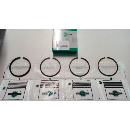 JEU DE 4 SEGMENTS POUR MOTEURS SLANZI DVA 460 - 920