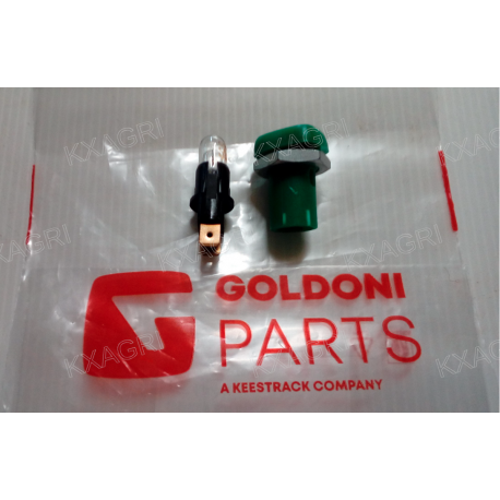 VOYANT VERT POUR GOLDONI