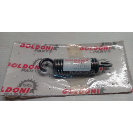 RESSORT DE RAPPEL GOLDONI - ITMA