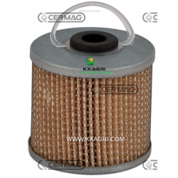 FILTRE À CARBURANT POUR MOTEURS RUGGIERINI - VM
