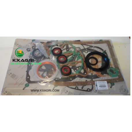 POCHETTE DE JOINTS MOTEURS COMPLÈTE POUR SLANZI DVA 1550 (avec joints SPI)