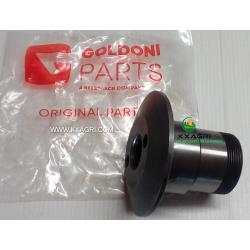Axe d'articulation centrale Goldoni d'origine référence 00003930